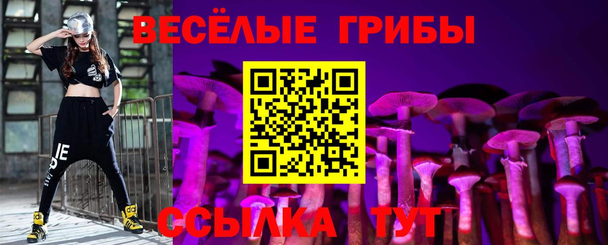 Галлюциногенные грибы Cubensis Алапаевск