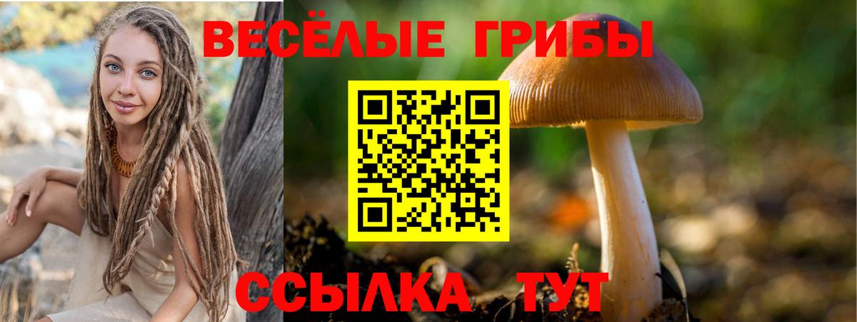 Галлюциногенные грибы Cubensis  Вход с VPN  Алапаевск 
